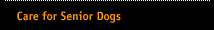 Care for Senior Dogs