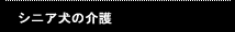 シニア犬の介護