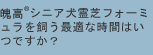 魄高&reg;シニア犬霊芝フォーミュラを飼う最適な時間はいつですか？