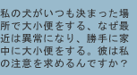 私の犬がいつも決まった場所で大小便をする、なぜ最近は異常になり、勝手に家中に大小便をする。彼は私の注意を求めるんですか？