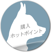 購入ホットポイント